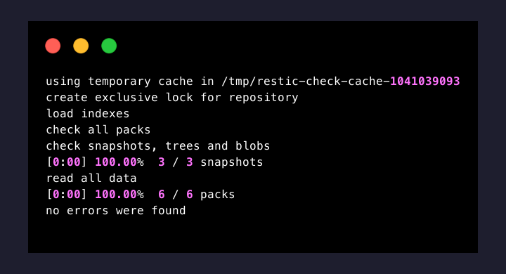 backupctl restic check