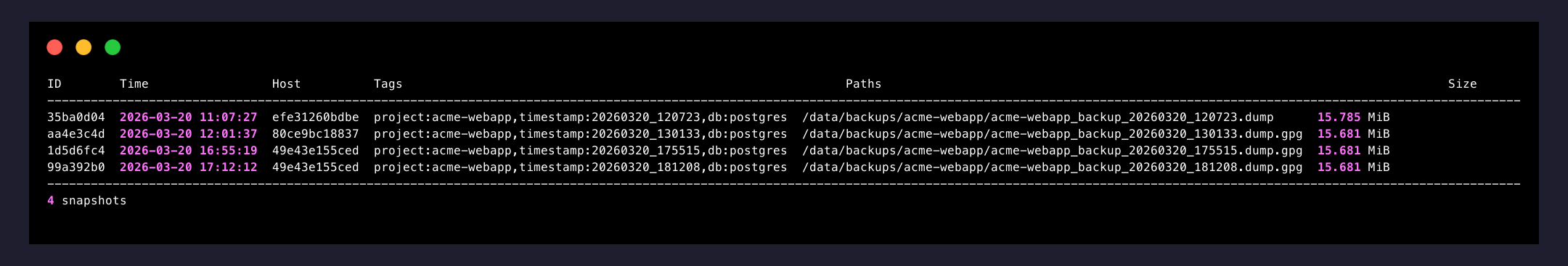 backupctl restic snapshots