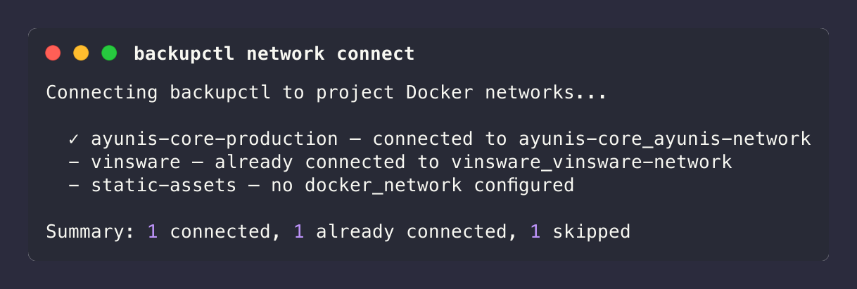backupctl network connect