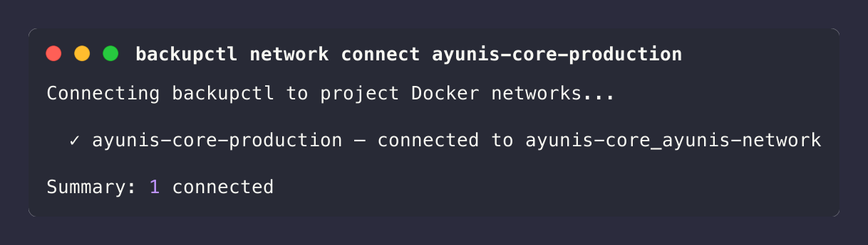backupctl network connect single