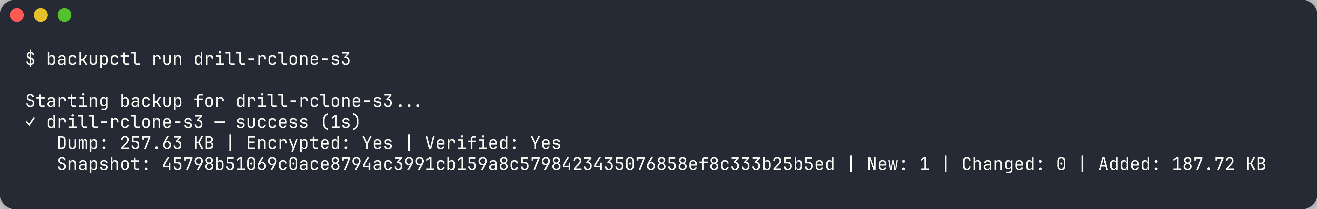 successful backup showing dump size, encryption, verification, and snapshot id