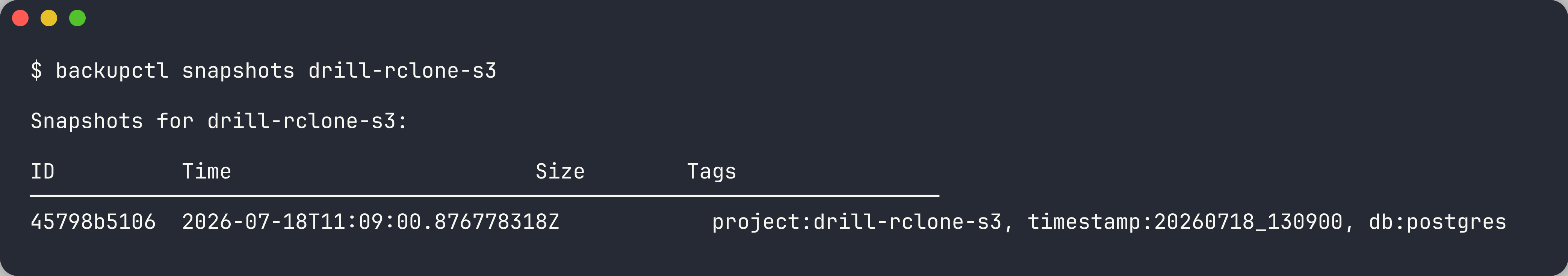 snapshot listing with project, timestamp, and db tags